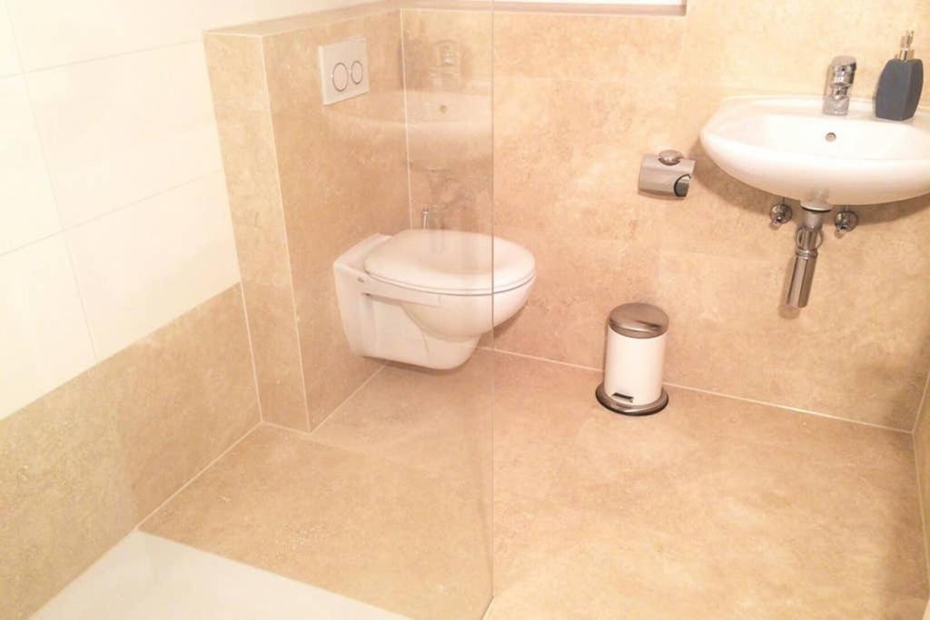 הוילה באנוויץ Elegantes Haus Im Dresdner Sueden מראה חיצוני תמונה
