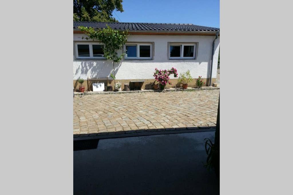 הוילה באנוויץ Elegantes Haus Im Dresdner Sueden מראה חיצוני תמונה